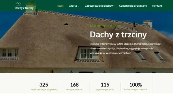 strona internetowa dachyztrzciny.pl